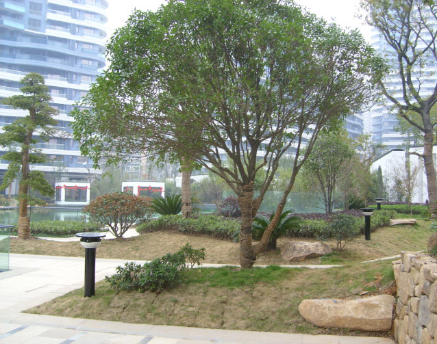 ��ƺ���^(gu��n)��